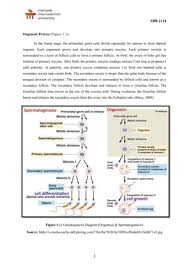 Recent Advances In Understanding Cell Types During Human Gastrulation -  Sciencedirect