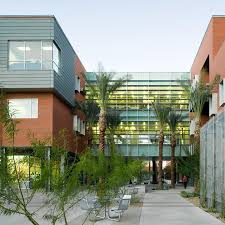 Home of the wildcats, #beardown! Campus Tour Tuesday Roy P Drachman A The University Of Arizona Facebook