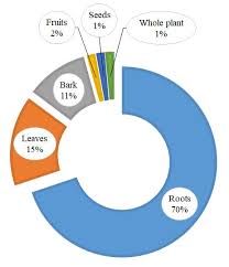 Image result for Grewia conocarpoides