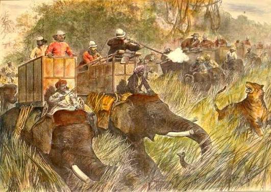 hunting