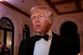 Donald Trump critics push plan to block him from taking power in DC protest  (it only takes 40% of Congressional Dems to sign onto this!) : r/democrats