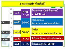 หมอแมว บอกว่า ก่อนอื่นต้องทำความเข้าใจถึงความหมายของ ไตวายเรื้อรัง ระดับ 5 ซึ่งหมายถึง การที่อัตราการกรองของเสียออก. à¸žà¸¢à¸²à¸šà¸²à¸¥ à¸­à¸¢à¸²à¸à¹€à¸¥ à¸² à¹€à¸¡ à¸­ à¸«à¸¡à¸­à¸šà¸­à¸à¸§ à¸² à¹„à¸•à¹€à¸ª à¸­à¸¡ à¹„à¸•à¹€à¸ª à¸­à¸¡ à¸„ à¸­ Facebook