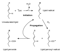 Allyl Group Wikipedia Vinyl groups ( formula − c h =ch 2 ) are derivatives of ethene , ch 2 =ch 2 , with one hydrogen atom replaced with some other group. allyl group wikipedia
