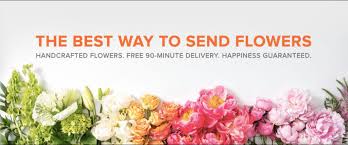 We did not find results for: The 42 Best Flower Delivery Services In Singapore 2021