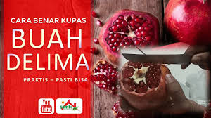 Buah delima mampu mencerahkan kulit wajah karena mampu mencerahkan noda maupun bekas luka pada kulit wajah. Baru Kali Pertama Makan Buah Delima Berikut Cara Benar Kupas Buah Delima Youtube