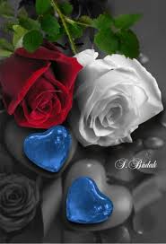 F7382804d732836abc40800c37606025 Jpg 795 1164 Flower Heart Love Rose Beautiful Red Roses