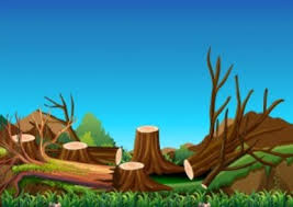 Estos son los alimentos que han provocado que el mundo pierda un área equivalente a california. Dibujos De La Deforestacion Deforestacion Net