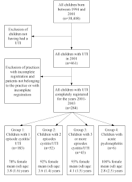 Management Of Childrens Urinary Tract Infections In Dutch