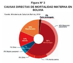 Legalizacion Del Aborto En Bolivia Cuestion De Salud Publica Y Derechos Humanos No De Moral