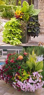 Learn The Designer Secrets To These Beautiful Planting Recipes 24 Stunning Container Garden Desi Container Garden Design Garden Containers Container Gardening