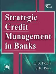 From the bank's expenses side, it can reduce the interest income credited to client's account for customer's bank deposits, reduce the processing and monitoring costs through improved technology or increasing the efficiency. Strategic Credit Management In Banks G S Popli S K Puri 9788120347045 Amazon Com Books