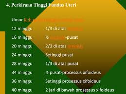 Cara menggungurkan kehamilan biasanya bergantung pada usia kehamilannya. Menentukan Periode Dan Usia Kehamilan Ppt Download