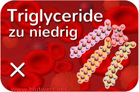 Triglyceride Vermindert Zu Niedrig