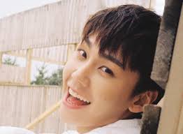 Ilhoon facts & ideal type stage name: Ilhoon Btob Profile K Pop Database Dbkpop Com