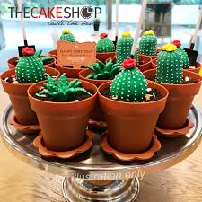 Te02 Cactus Cake Pots