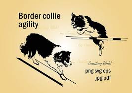 Border Collie Dog Agility Svg Clipart Vector Graphic Art Dog Etsy In 2021 Collie Dog Border Collie Dog Border Collie