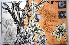 Art Sketchbook Gcse Sketchbooks A Level Art Sketchbook Gcse Art Sketchbook Natural Form Art