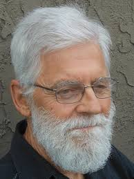 My Life as a Sperm: Essays from the Absurd Side: Twaronite, Gene:  9780578640853: Amazon.com: Books