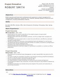 Simple, clean, and easy to edit 1 column resume design. Project Executive Resume Samples Qwikresume