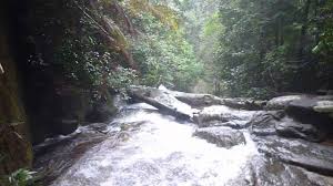 Oh ya, jangan lupa untuk tonton video youtube dibawah yang pasti sekiranya anda mempunyai pengalaman di air terjun tengkil di johor dan mahu kongsikan kepada kami, silalah tinggalkan komen dibawah untuk. Air Terjun Tengkil Di Johor Lokasi Mandi Manda Yang Sangat Menenangkan Untuk Mandi Manda Tempat Menarik