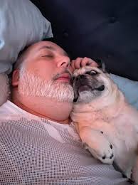 Angel Tucker & Tuesday the Pugs