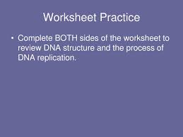 The nature of dna structure and replication worksheet in education. Nucleic Acids Nucleic Acids And Dna Ppt Download