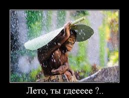 Осень на нас ветром шипит. Demotivator Leto Ty Gdeeeee