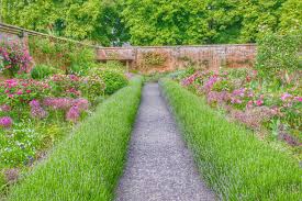 We did not find results for: How Many Flowers Can You Name In An English Country Garden By Martin174 Ephotozine