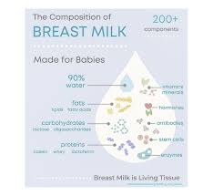 Image result for Infant Nutrition Components