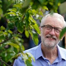 Labour manifesto tops climate policies league table