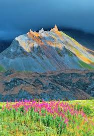 Rosebay Willowherb And Mountains In Kamchatka Russia Beautiful Nature Scenic Pictures Beautiful Backgrounds