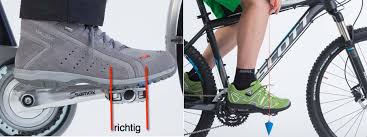 Sattelhohe Und Sattelversatz Fahrrad Gesundheit