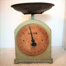 We did not find results for: Salter Kitchen Scale Vintage Recycled