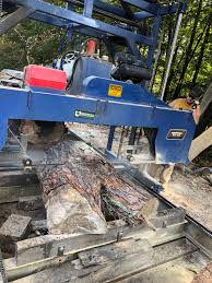 Local enterprise seeks to find value in doomed ash trees, among others