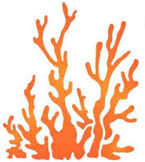 Mer Pochoir Recherche Google Pochoir Coquillage Dessin Art Du Pochoir