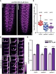 How are books and libraries important to people and communities? Receptor Kinase Module Targets Pin Dependent Auxin Transport During Canalization Science