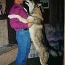Profile Picture of Greg-Hanneman Profiles - Facebookon Google