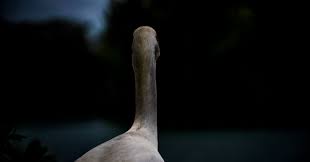 Maybe you would like to learn more about one of these? The Fear Of Being Alone Psychology Today