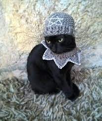 Purple Wizard Cat Hat Wizard Hat For Cat Wizard Hat For Etsy Hats For Cats Cat Pet Supplies Cat Accessories