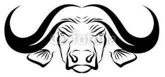 Animals For African Buffalo Head Drawing African Buffalo Drawings Buffalo Buffalo tattoo images stock photos vectors shutterstock. african buffalo head drawing