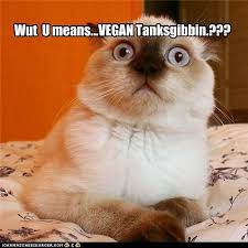Lolcats Thanksgiving Lol At Funny Cat Memes Funny Cat Pictures With Words On Them Lol Cat Memes Funny Cats Funny Cat Pictures With Words On