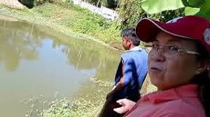 Tilapia Fish from Fish Pond/ My home town Camiling Tarlac/ Ruth guinto