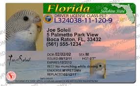 Of all the animals in florida the one you will probably first associate with florida in the alligator. Florida Pet Id License