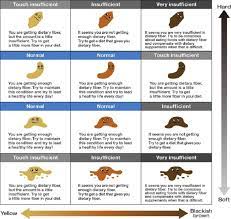 Stool Comes In A Range Of Colors All Shades Of Brown And Even Green Are Considered Normal Only Rarely Stool Color Chart Healthy Digestive System Stool Chart