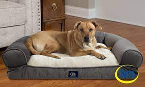 E.g., retriever, german shepherd, rottweiler. Serta Extra Plush Bolster Dog Bed Groupon