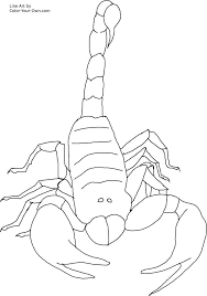 Maybe you would like to learn more about one of these? Free Printable Scorpion Coloring Pages For Kids Coloring Pages For Kids Coloring Pages Bee Coloring Pages