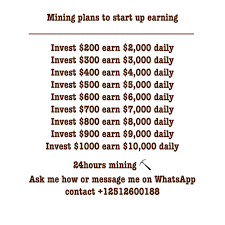 Bitcoin Investment In 2020 Investing How To Plan Words