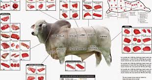 Pin On Cortes De Carne