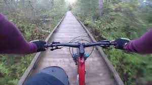 Vicki Barron Lakeside Trail Multi Trail