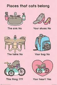 Pusheen The Cat Poster Print Places That Cats Belong Ebay Pusheen Cute Pusheen Cat Pusheen Love
